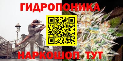 стаф Краснознаменск