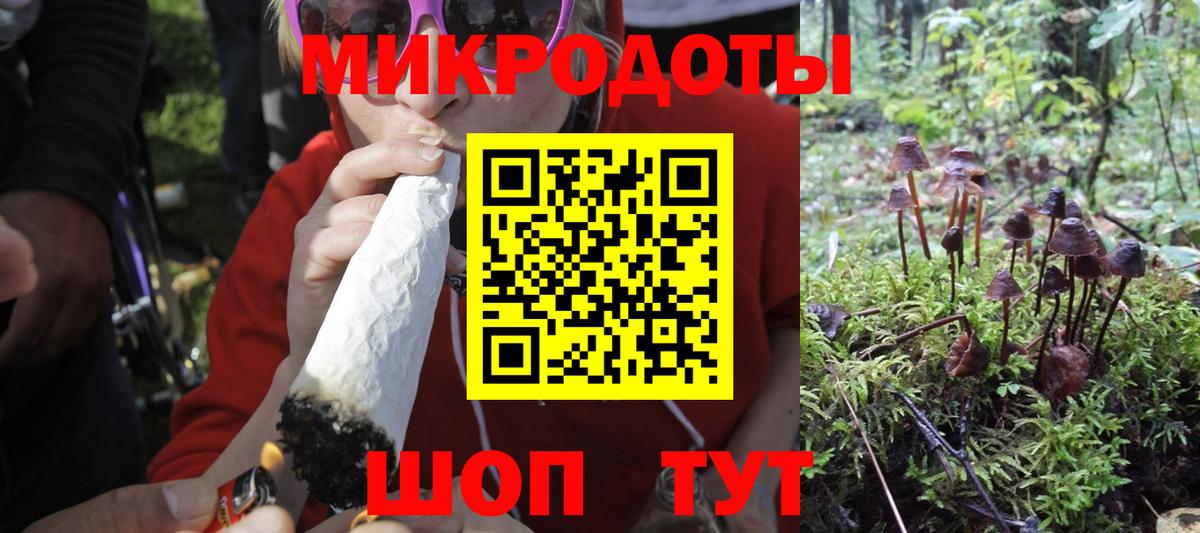 Галлюциногенные грибы GOLDEN TEACHER  Вход с VPN  Вичуга 